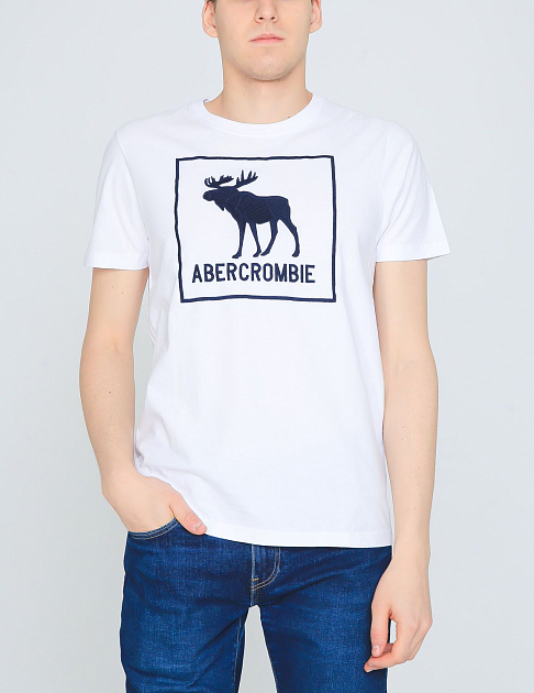 Софт футболка с коротким рукавом F17 F17 от онлайн-магазина Abercrombie.ru
